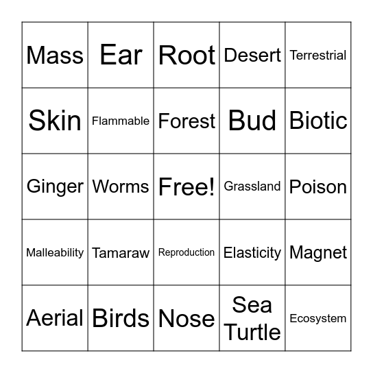 SCIENCE BINGO Card