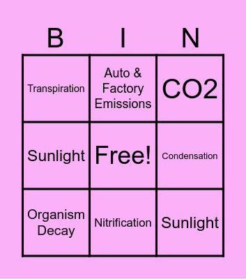 Nature Cycle Games Bingo Card