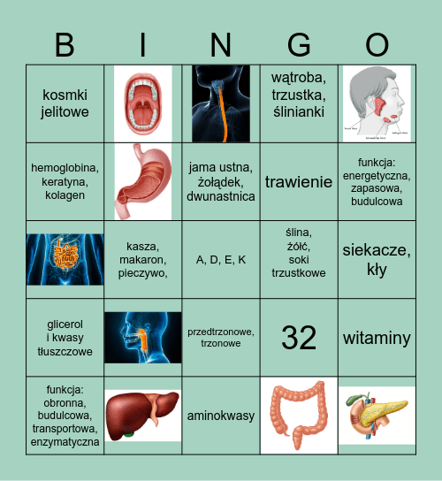 układ pokarmowy Bingo Card