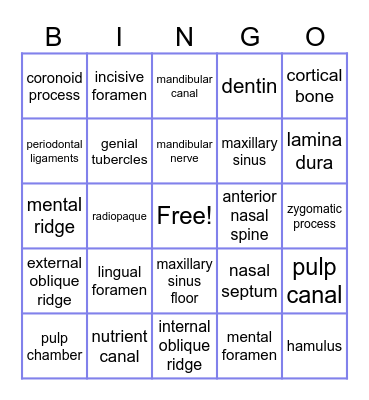 Dental Radiographic Anatomical Landmarks Bingo Card