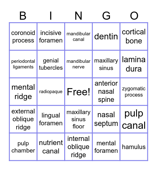 Dental Radiographic Anatomical Landmarks Bingo Card