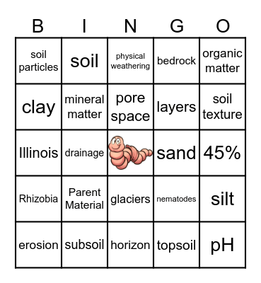 Soils Bingo Card