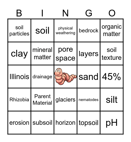 Soils Bingo Card