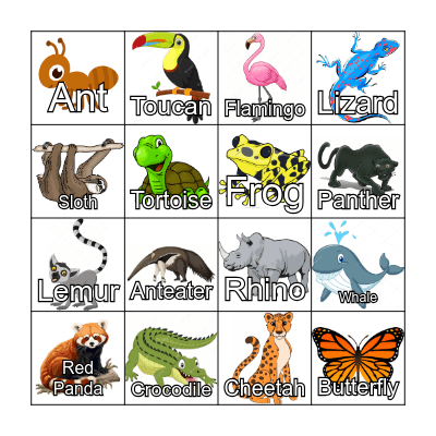 Rainforest Bingo Card