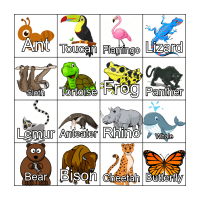 Rainforest Bingo Card