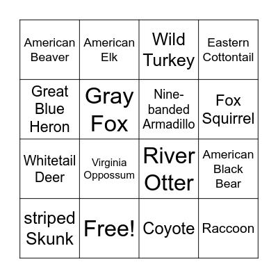 Animal Tracking Bingo Card