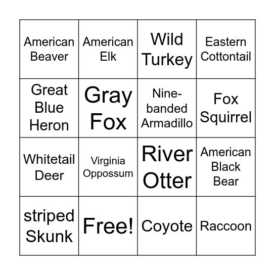 Animal Tracking Bingo Card