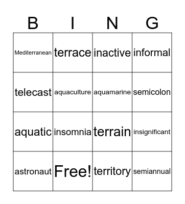 Vocabulary Bingo Card