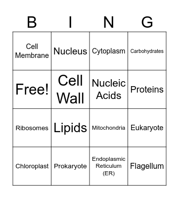 Cell Organelles Bingo Card