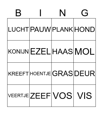 Vaste vergelijkingen Bingo Card