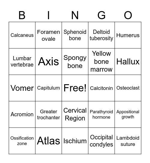 Bio 21A Exam 2 Review Bingo Card