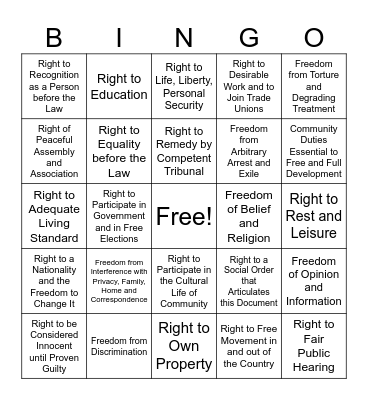 Declaration of Human Rights BINGO Card