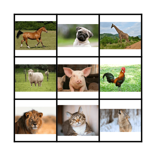 Les animaux Bingo Card