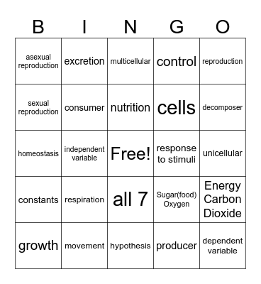Characteristics of Life Bingo Card