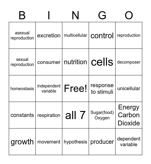 Characteristics of Life Bingo Card