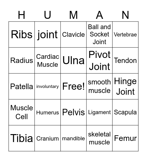 Skeletal and Muscular System Bingo Card