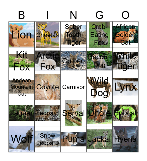 Wild Cats & Dogs Bingo Card