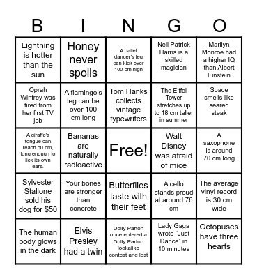 Sonnedou Bingo Card