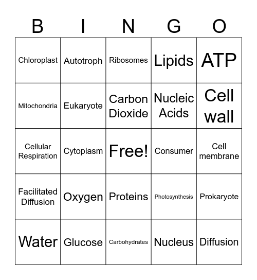 Unit Two BINGO Card