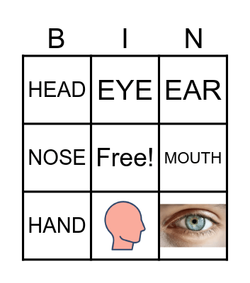 BODY PARTS Bingo Card