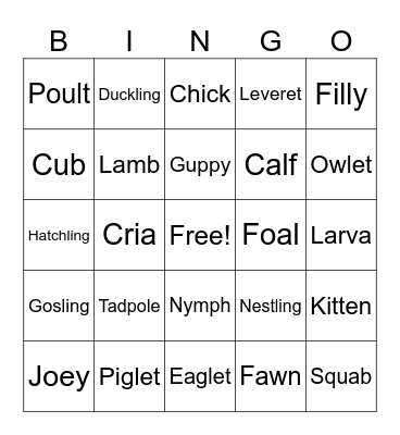 Baby Animal Bingo Card