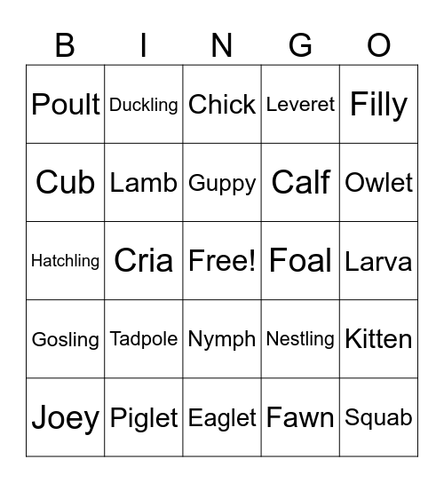 Baby Animal Bingo Card