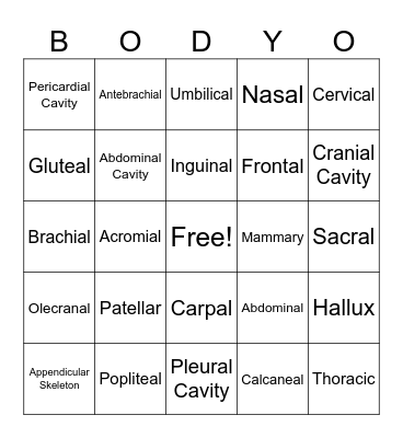 Body-O Bingo Card