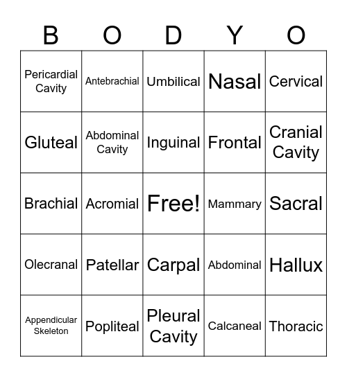 Body-O Bingo Card