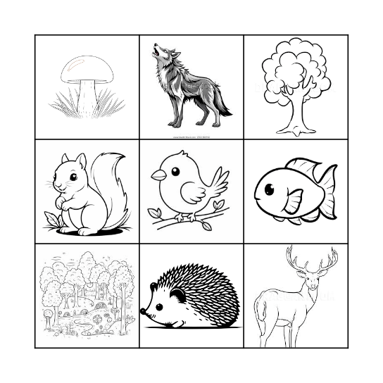 FOREST :) Bingo Card