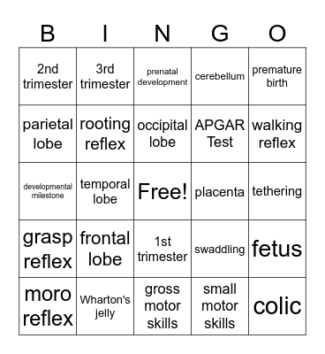 Infant Development Bingo Card