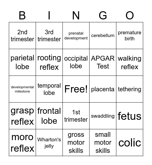 Infant Development Bingo Card