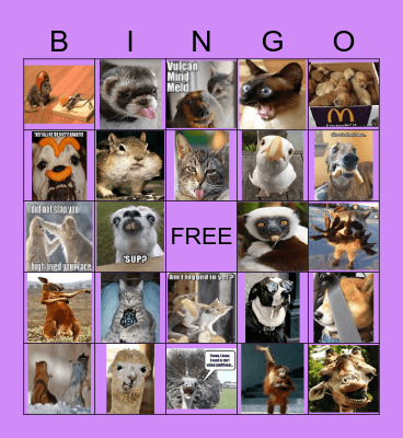 Funny Jokes Bingo Card