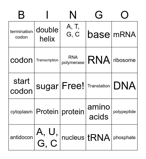 Protein Synthesis Bingo Card