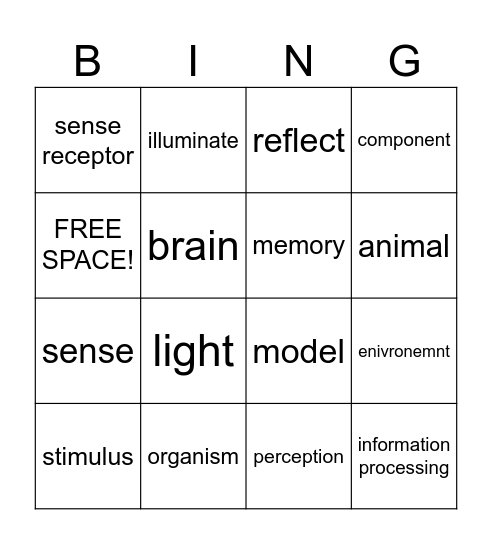 Review Bingo Card