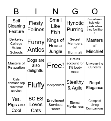 Reasons Why Cats Rule Bingo Card