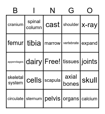 The Human Body Bingo Card