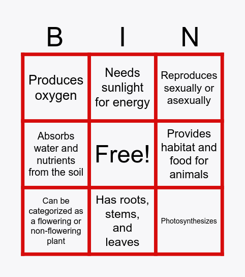 Characteristics of Plant Bingo Card