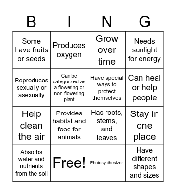 PLANT CHARACTERISTICS Bingo Card
