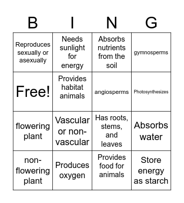 Characteristics of Plants Bingo Card
