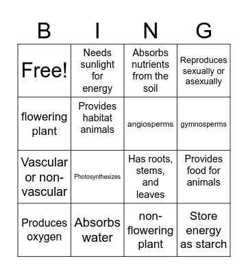 Characteristics of Plants Bingo Card