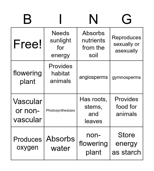 Characteristics of Plants Bingo Card
