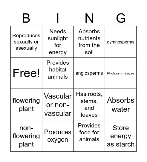 Characteristics of Plants Bingo Card