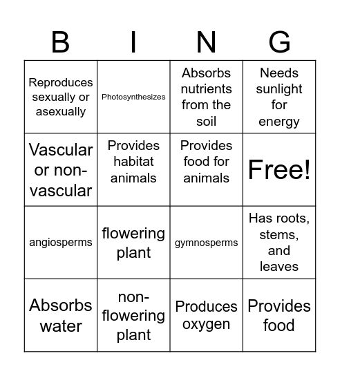 Characteristics of Plants Bingo Card