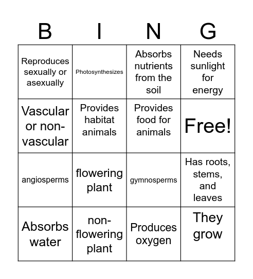 Characteristics of Plants Bingo Card