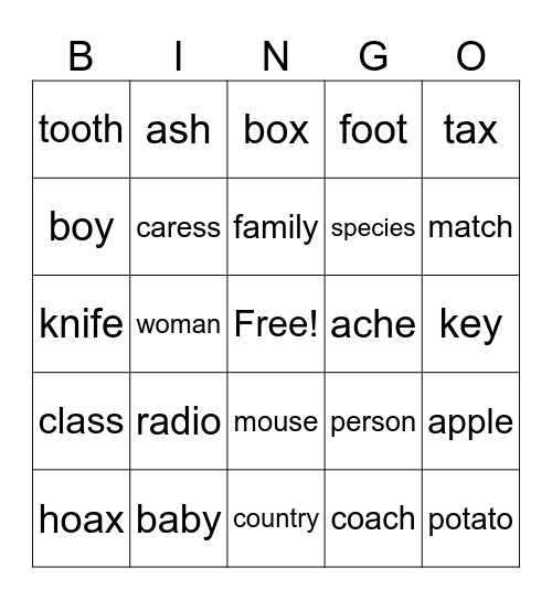 Plurals in English Bingo Card