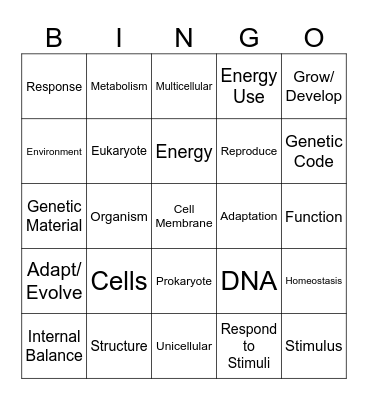 Characteristics of Life Bingo Card