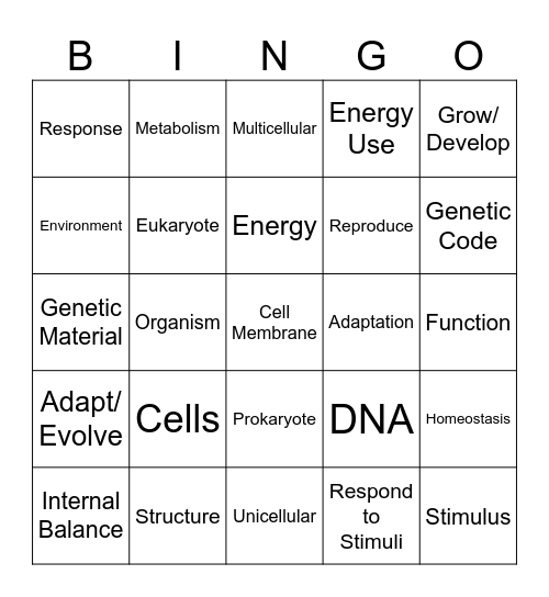 Characteristics of Life Bingo Card