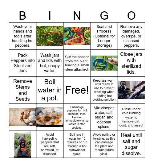 Sequencing  Bingo - How to Pickle Pepper Bingo Card