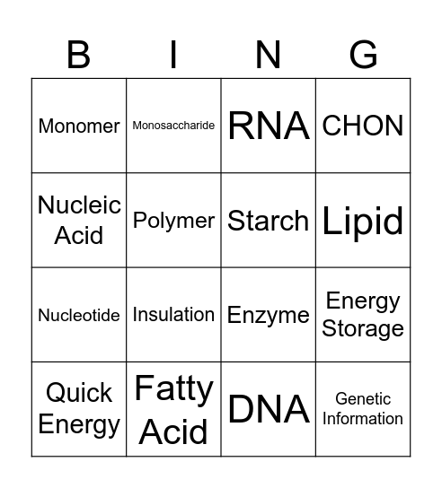 Macromolecules Bingo Card