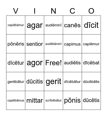 Present Indicative System of 3rd & 4th Conjugations Bingo Card
